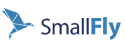 Small Fly